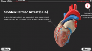 Heart image