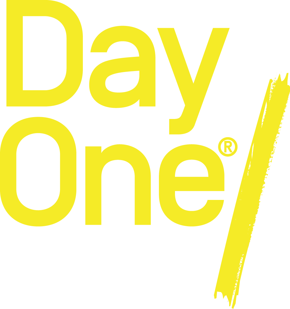 Bespoke elearning from Day One
